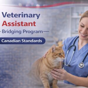 Veterinary Assistant Bridging Program aligned with Canadian veterinary care standards
